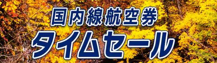 国内線タイムセールロゴ