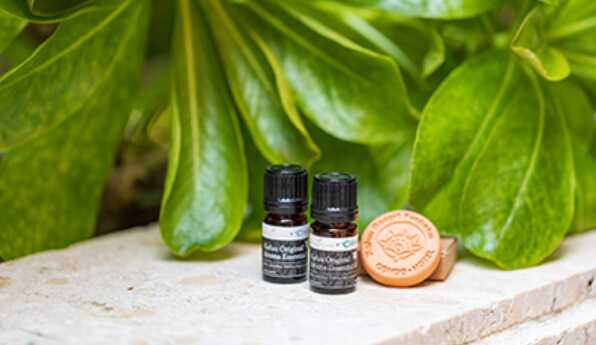 ウェルカムギフト